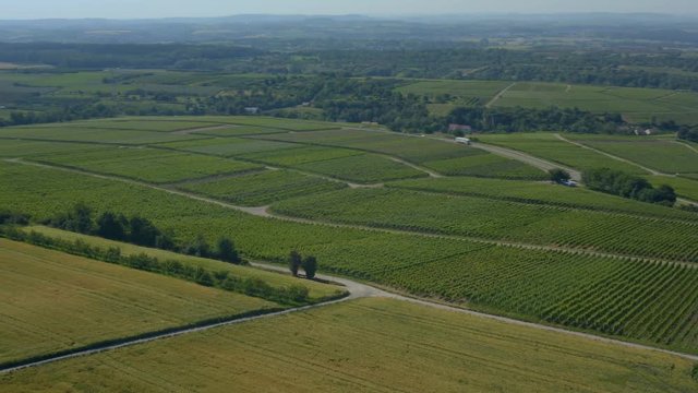 Aerial of Vineyards close to Mundelsheim in Germany.  Camera rotates left with a panorama of wine grape fields.