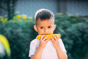 cute boy in the garden or Park outdoors eating boiled corn is very appetizing