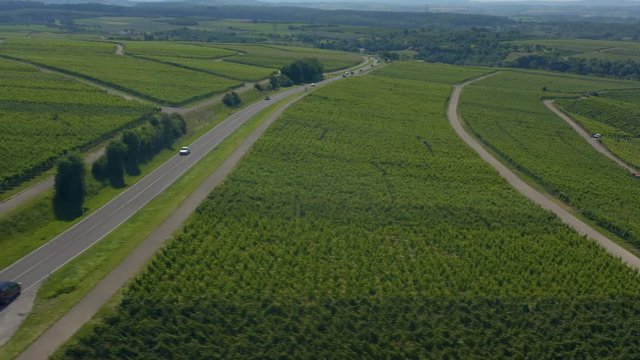 Aerial of Vineyards close to Mundelsheim in Germany.  Camera pans left at low elevation over vineyards, with a road running between two fields.