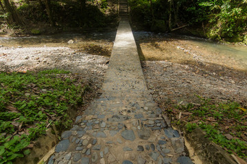 Obraz premium Walk to the waterfall nature forest prolific ,in Phang Nga National Park, Thailand