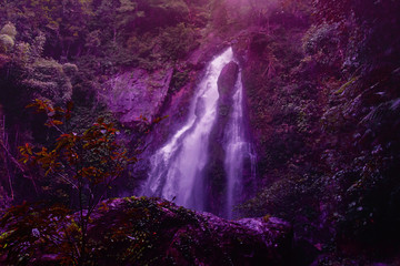 Fototapeta na wymiar Background Purple Tone Tam nang waterfall ,in the forest tropical zone ,national park Takua pa Phang Nga Thailand