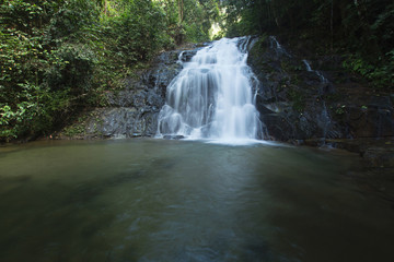 Fototapeta na wymiar Ton Chong Fa,in the forest tropical zone ,national park Takua pa Phang Nga Thailand