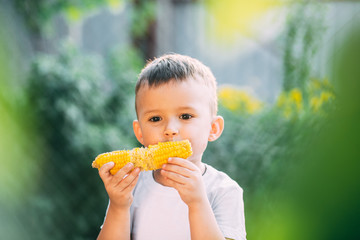 cute boy in the garden or Park outdoors eating boiled corn is very appetizing