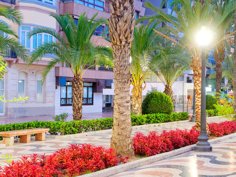 Beautiful alley with palm trees - Explanada de Espana. Alicante. Spain