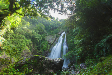 Tam nang waterfall ,in the forest tropical zone ,national park Takua pa Phang Nga Thailand
