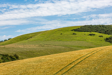 Fototapeta premium Rolling countryside in the South Downs in Sussex, on a sunny summers day
