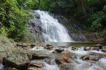 Ton Chong Fa,in the forest tropical zone ,national park Takua pa Phang Nga Thailand