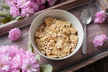 Breakfast cereals in a bowl on a tray, top view