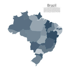 Map of the Brazil. Vector image of a global map in the form of regions (regions) in Italy. Easy to edit