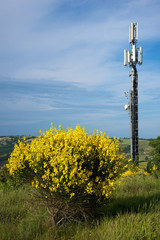 ripetitore e natura