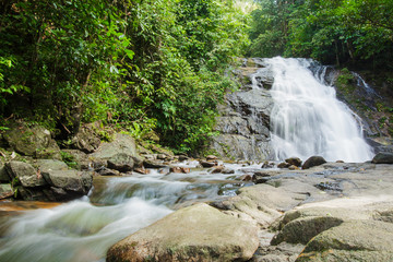 Ton Chong Fa,in the forest tropical zone ,national park Takua pa Phang Nga Thailand