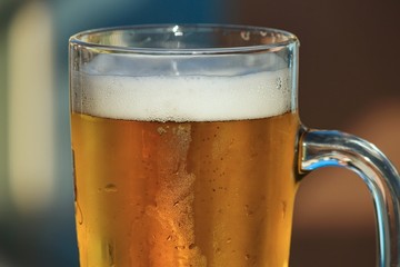Bier mit Schaum im Glas
