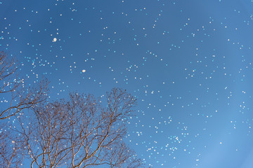 Fototapete bei efototapeten.de bestellen   