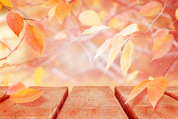 Gentle delicate autumn natural background. Pink and yellow leaves in the autumn forest. Wooden old surface for your design and text. Magical nature.