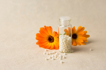 Calendula officinalis, the pot marigold, ruddles, common marigold or Scotch marigold with white...