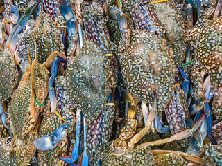 Crab at the market, live from the camera phone, in Phuket Thailand