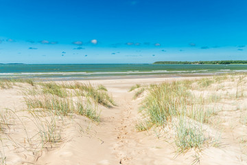 Beautiful sandy beach Yyteri at summer, in Pori, Finland