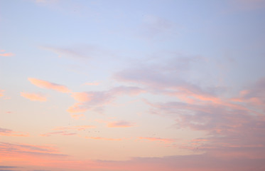 Naklejka na ściany i meble beautiful sky and clouds in the sunset light