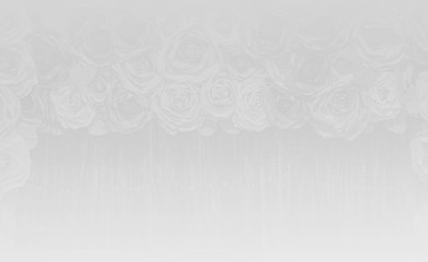 Background of roses, compared with the orchestra, the arrangement of bright white tone cleared.