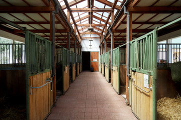 Horizontal picture of empty clear horse stable without horses © acceptfoto