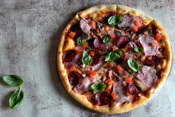 Hot pizza with ham, mushrooms, salami, tomatoes, cheese and Basil photographed close-up on a beautiful gray background