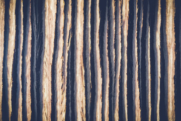 wood texture background surface with old natural pattern