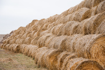 Storage with piles of stacks of hay
