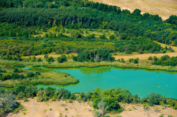 Aerial view of forest during