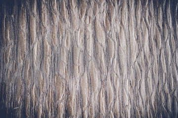 wood texture background surface with old natural pattern