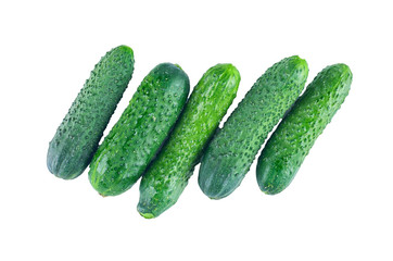 Fresh cucumbers isolated on white background. The view from the top. Background of organic food.