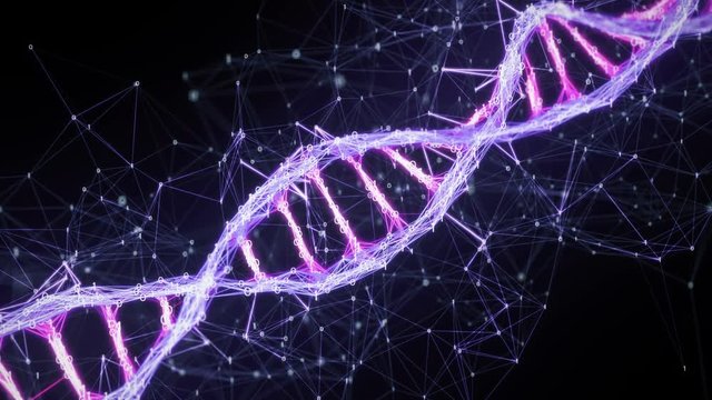 Abstract pink purple violet binary digital plexus DNA molecule structure for research visuals biology biotechnology chemistry science medicine cosmetics motion background medical dashboard Loop 4k