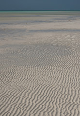 Beautiful Wide Angle Panoramic Photography Taken in the Beautiful Mexican Island, Holbox 