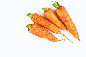 Four fresh carrot isolated on white background. The view from the top. Organic food background.