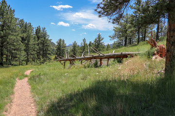 Colorado Mountains