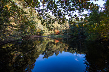 Fototapete bei efototapeten.de bestellen   