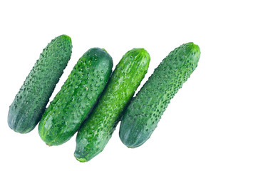 Fresh cucumbers isolated on white background. The view from the top. Background of organic food.