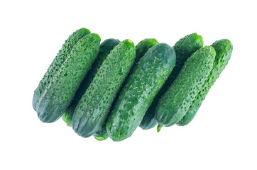 Fresh cucumbers isolated on white background. The view from the top. Background of organic food.