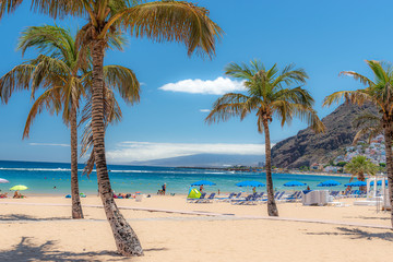 Fototapeta na wymiar Tenerife, palm trees on the beach