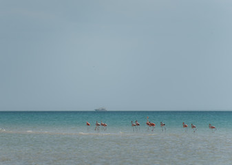 Beautiful Wide Angle Panoramic Photography Taken in the Beautiful Mexican Island, Holbox 