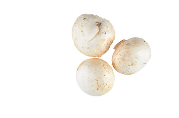 Fresh champignons isolated on white background. The view from the top. Background of organic food.