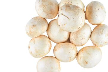 Fresh champignons isolated on white background. The view from the top. Background of organic food.