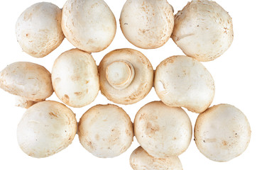 Fresh champignons isolated on white background. The view from the top. Background of organic food.