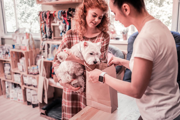 Dog looking into bag while shopping in pet shop with owner