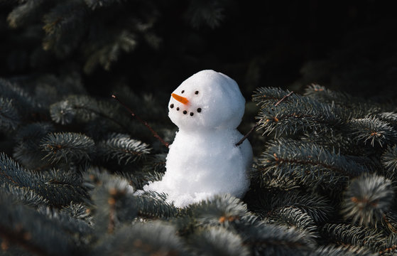 Small snowman sitting on the branches of an evergreen tree.