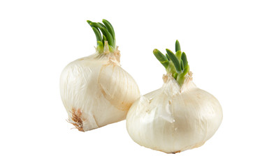 Fresh white onion on white background. Organic food background.