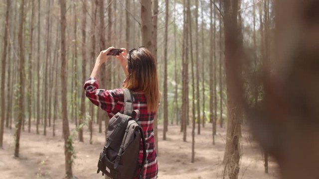 Asian hiker woman trekking in forest. Young happy backpack girl using phone take pictures photo while travel nature and adventure trip, climb mountain in summer holidays vacation concept. Slow motion.