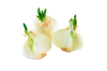Fresh cut white onion on white background. Organic food background.