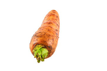 Fresh carrots on white background. Background of organic food.