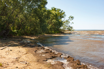 Fototapeta na wymiar Dirty coast of the Sur Lake reservoir