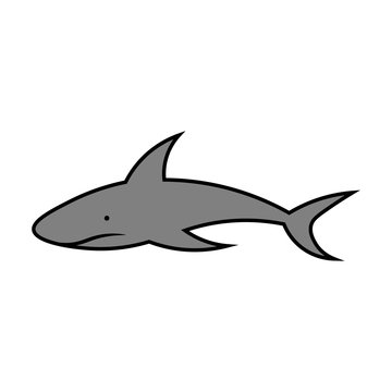 Shark. Vector drawing. Isolated object on white background. Isolate.